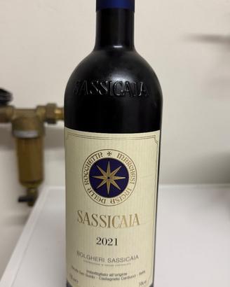 Sassicaia 2021