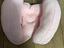 Immagine 2