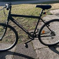 Mountain bike MOSTER – cambio Shimano