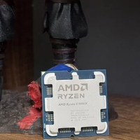 AMD RYZEN 5 9600x