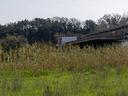 terreno-edificabile-ardea