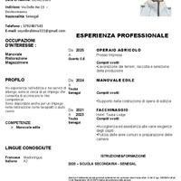 Manovale - Facchinaggio - Lavapiatti