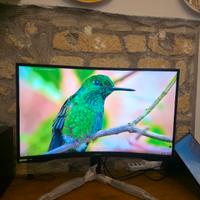 Samsung G7 Odissey 2k 240hz (come nuovo)