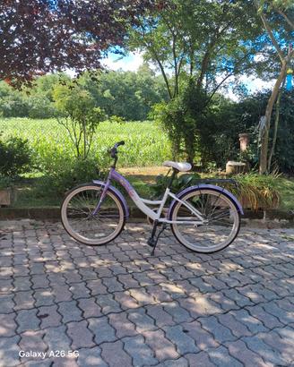 Bicicletta
