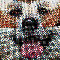 Chiodini Quercetti  gioco Pixel Art CANE - 7200 pz