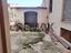 Immagine 15