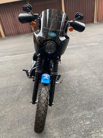 Kit paramani Memphis Shades x Harley dyna