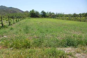 Terreno di 960 m² a Mondragone