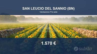 Immobile in asta di 105 m² a San Leucio del Sannio