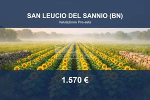 Immobile in asta di 105 m² a San Leucio del Sannio