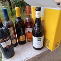 bottiglie antiche vini liquori spumanti