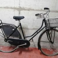 Bicicletta da donna Holland