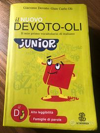 Vocabolario bambini-ragazzi