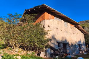 Rustico con Terreno e Stalla