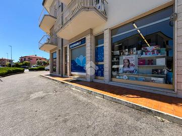 ATTIVITÀ A PESCHIERA DEL GARDA
