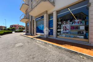 ATTIVITÀ A PESCHIERA DEL GARDA