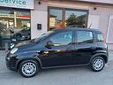 fiat-panda-1-0-firefly-s-s-hybrid
