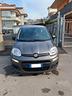 fiat-panda-1-0-firefly-s-s-hybrid