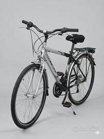bicicletta leggerissima 