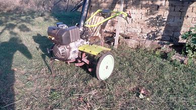 Motozappa Grillo 11500, motore Lombardini Diesel