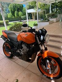 Honda hornet