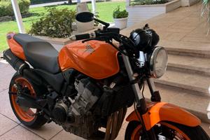Honda hornet