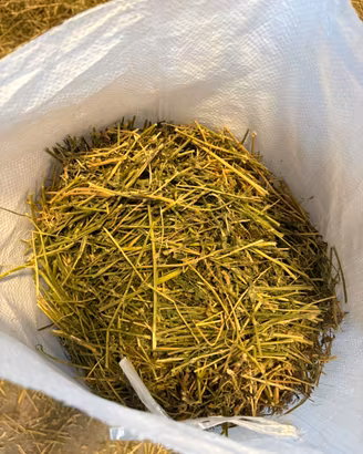 Erbaspagna per conigli nani 2kg