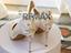 Immagine 29