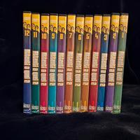 Collezione DVD Attenti a quei due 