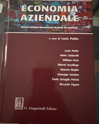 Economia aziendale Lucio Potito 4 edizione