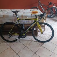 bici da corsa 