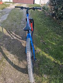 Bicicletta Mtb 29 pollici