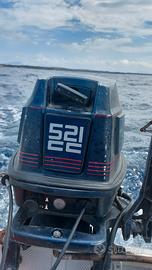 Motore nautico 25cv 2T Evinrude gambo lungo