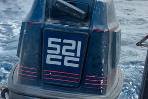 Motore nautico 25cv 2T Evinrude gambo lungo