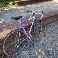 bici Moser 