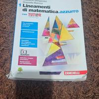 Lineamenti di matematica azzurro 9788808474384