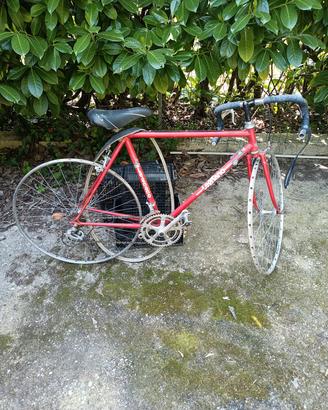legnano da corsa vintage 