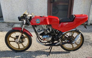 Benelli 50 Special Corsa 4v