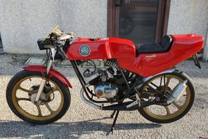 Benelli 50 Special Corsa 4v