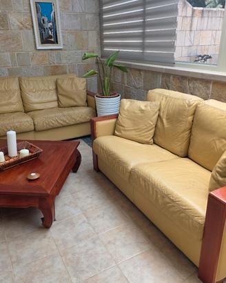 divani in pelle