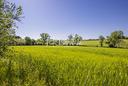 terreno-agricolo-a-montecosaro-5-locali
