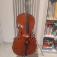 Violoncello bambino 2/4