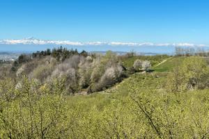 Terreno agricolo a Cerretto Langhe