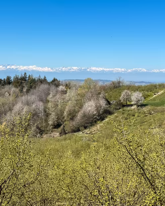 Terreno agricolo a Cerretto Langhe
