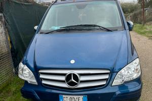 Mercedes Viano