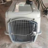 Trasportino taglia grossa