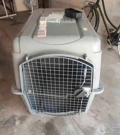 Trasportino taglia grossa