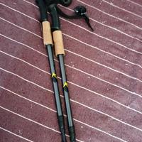 bastoncini da trekking