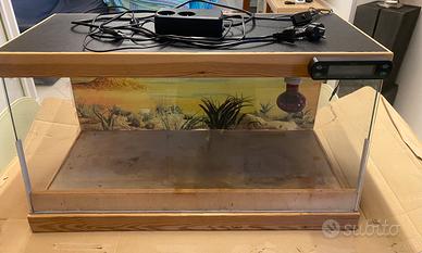 Teca Terrario