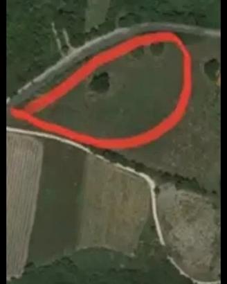 Terreno agricolo